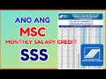 MSC Monthly Salary Credit for Benefits Loan in SSS