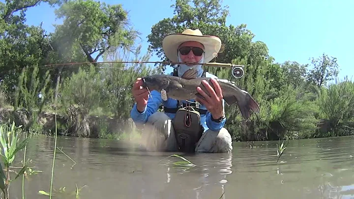 Catfish on a Leonard 38L bamboo fly rod