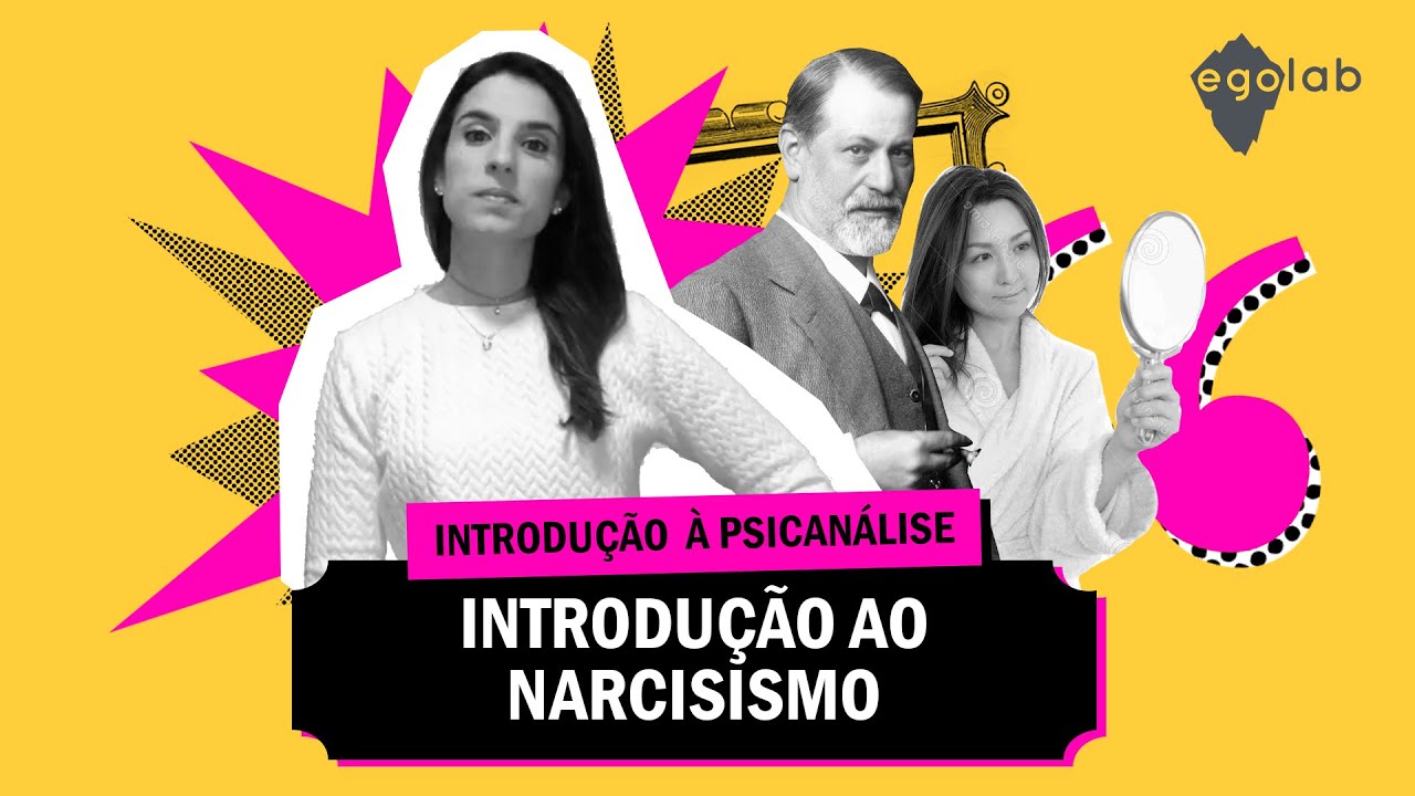 Introdução à psicanálise - Introdução ao Narcisismo - Video 7