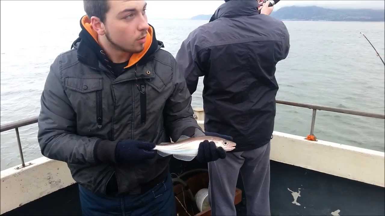 Sea Fishing in Anglesey YouTube