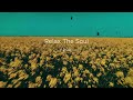 a quiet March soft piano for reading, studying &amp; writing