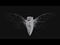 Cicada 3301: An Internet Mystery music