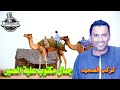 كوكب الصعيد محمود سليم موال جمال مكتوب علية الصبر