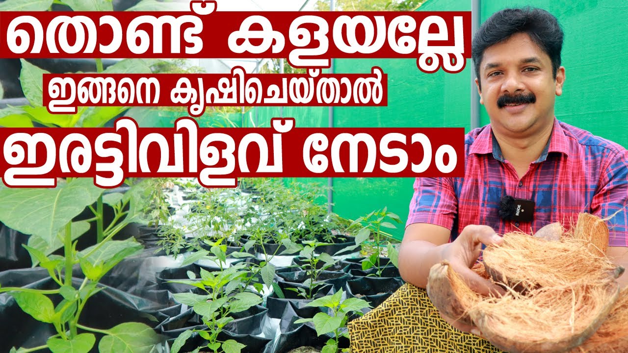 തൊണ്ട് ഈ രീതിയിൽ ഗ്രോബാഗ് നിറക്കൂ കുറച്ച് വെള്ളം മതി കൂടുതൽ വിളവ് നേടാം | Grobag Filling Tips