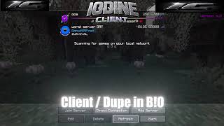This Donut SMP DUPE Still WORKS💀