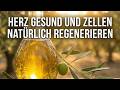 Olivenoel Wunder – Herzfreundlich Und Zellregeneration Natuerlich