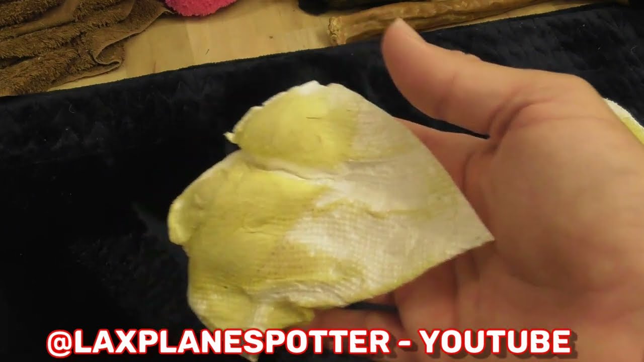 CARPET CLEANER Enzyme BioKleen BAC-OUT REVIEW