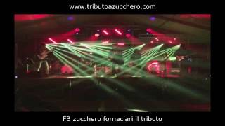 TRIBUTO A ZUCCHERO - SUGARLIVE - Il volo  Blu  Guantanamera  Partigiano reggiano  13 buone ragioni