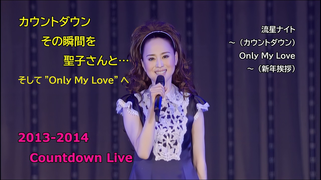 松田聖子 2013-2014 Count Down Live / 流星ナイト ～（カウントダウン