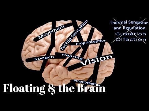 Floating and the Brain - Dr. Justin Feinstein Clinical Neuropsychologist