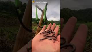 DIY Slingbow?!? #diy #diyprojects #slingshot