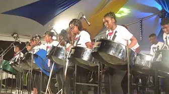 Mosaic Junior Steel - Pan Pun De Sand 2018