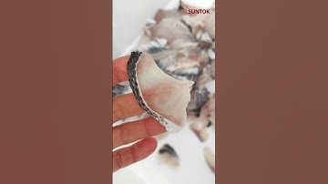 CNC Fish slicer for Snakehead