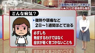 ジカ熱とは？症状は？感染経路は？予防するには？(16/02/05)
