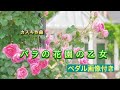 カスキ　バラの花園の乙女　ペダル画像付き