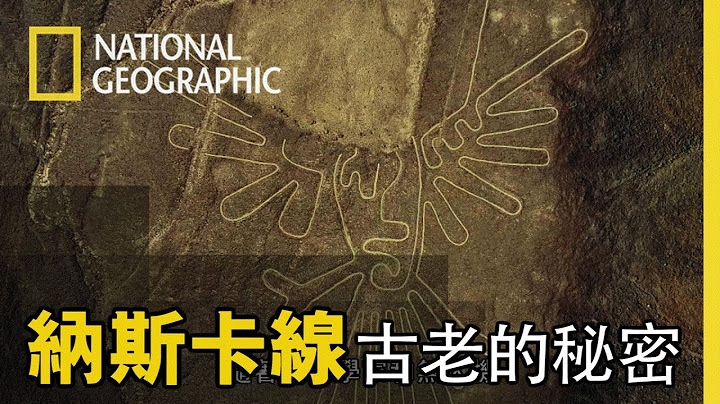 這個巨大古老的奇異地畫，傳說是外星人繪製的!!?國家地理帶您一起揭秘【納斯卡線】短片精華版 - 天天要聞