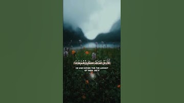 القارئ ماهر المعيقلي سورة الأنبياء #قرآن_كريم #تلاوات_خاشعة #سناب #ستوري #حالات #quran