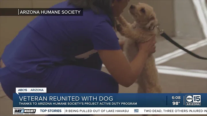 Project Active Duty giving veterans' pets a safe home during deployment
