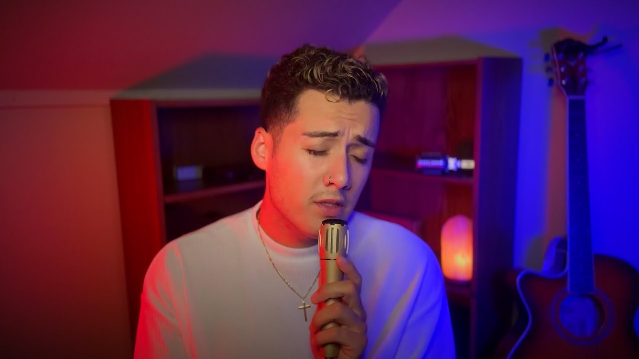 Good Luck, Babe! - Chappell Roan (Cover by David Elise)