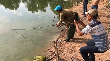 HỘI CÂU CÁ TÂN UYÊN|SÓC CÁ TRA BÒ 29KG HỒ CÂU CÁ LONG HỒ TÂN UYÊN BÌNH DƯƠNG