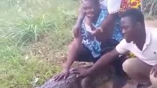 Crocodile attacks lady Taking pictures with it