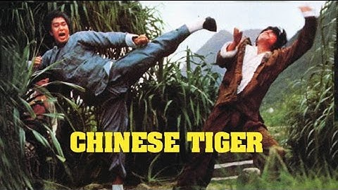 Wu Tang Collection - Chinese Tiger
