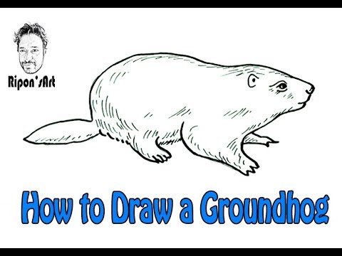 How To Draw A Groundhog