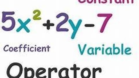 Naming Polynomials (Kuta Software Algebra 1)