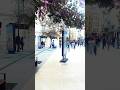 Wonderful Malaga Spain 🇪🇸🦋🌹#youtubeshorts #shortsfeed #shorts #shortvideo
