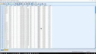 SmartPLS 3 Importing data and getting started