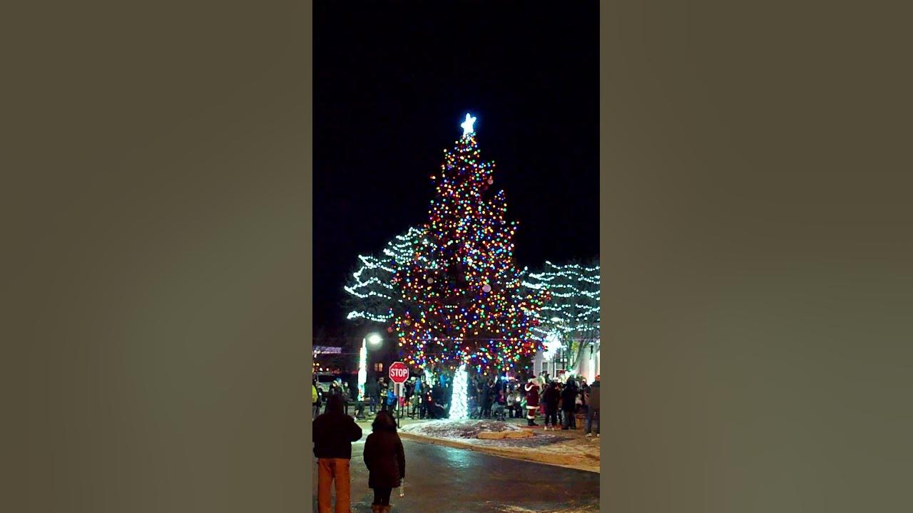 2022 Mokena Christmas Tree Lighting YouTube