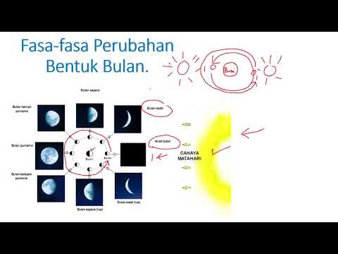 Video: Apakah fasa bulan yang betul?