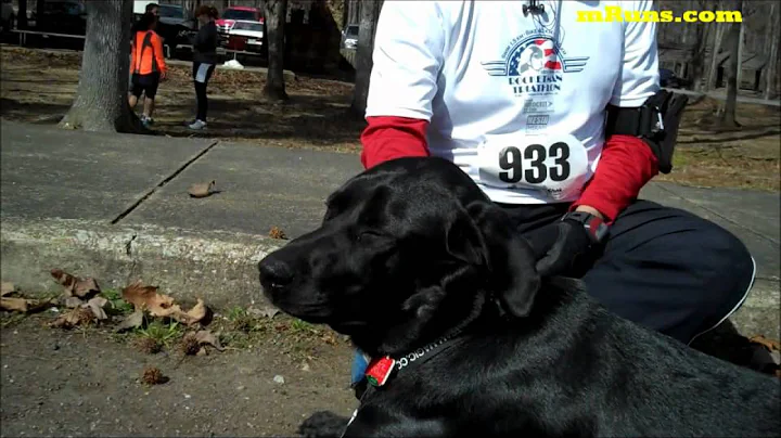 Man's Best Friend and  A running Buddy  Story of W...
