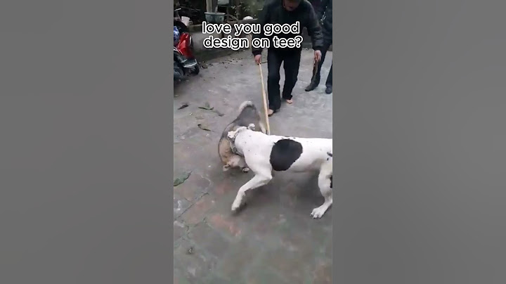#dogfight #pitbullfight #pitbull #attack #dog