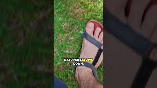 When Might Biweekly Mowing Be Acceptable?