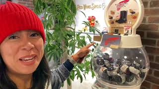 Red Wing Heritage Stores, Tokyo - Vlog 8