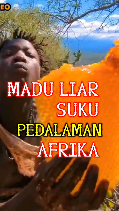 Suku pedalaman Afrika berburu madu liar #berkebun #unik #adaadaaja