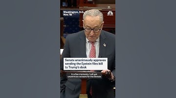 Senate unanimously approves sending the Epstein files bill to Trump