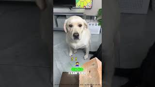 Oh No If Even You Cant Do It, Why On Earth Do You Think I Can? 😤🙄💢 Resimi