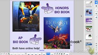 Honors vs. AP Biology Informational Meeting 2018-19 Update