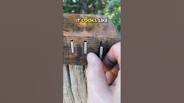 I’ve Never Found A Field Puzzle Geocache Quite Like This! #geocaching #geocache #gadgetcache