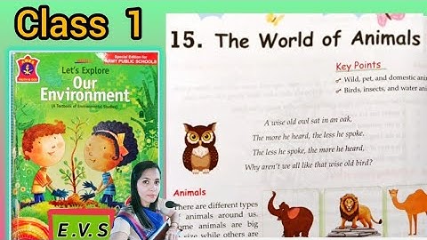 THE WORLD OF  ANIMALS🐯, Class 1(Chapter 15 ) # Lets explore our environment # E.V.S