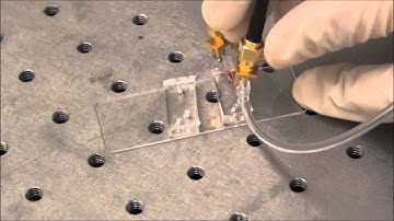 High-throughput biophysical measurement of single cells