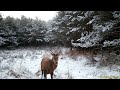 Bogactwo przyrody #2 na ścieżce dzików i jeleni 2022