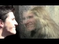 Zoo special effects