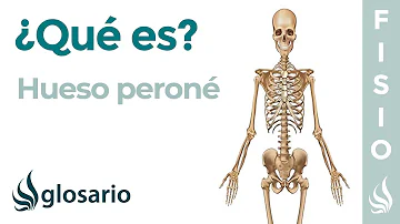 ¿Cuál es la función del peroné?