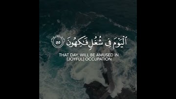 إِنَّ أَصۡحَٰبَ ٱلۡجَنَّةِ ٱلۡيَوۡمَ فِي شُغُلٍ فَٰكِهُونَ || سورة يس || عبدالله الموسى 💙🍃