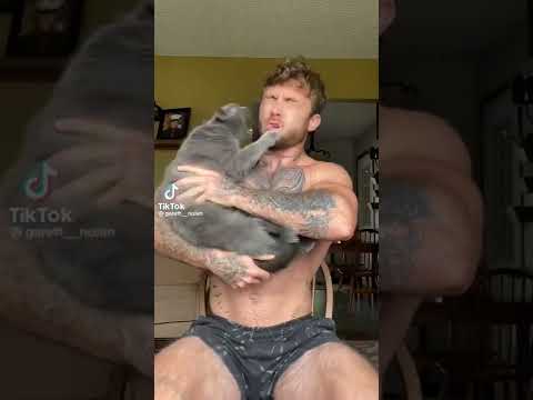 Cat bites man