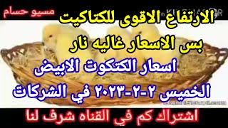سعر الكتكوت أسعار الكتاكيت اليوم الخميس ٢-٢-٢٠٢٣ في الشركات فى مصر
