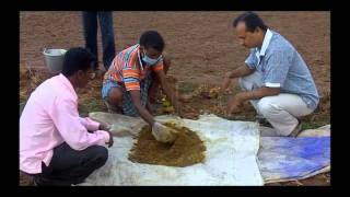 Application of weedicide in groundnut cultivation Odia PRADAN Odisha